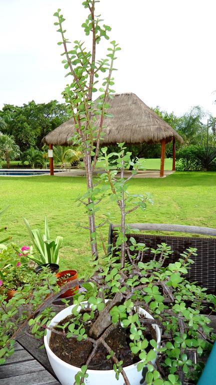 B&B Mom'S House Puerto Aventuras Eksteriør billede